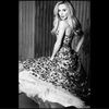 katesredcarpet